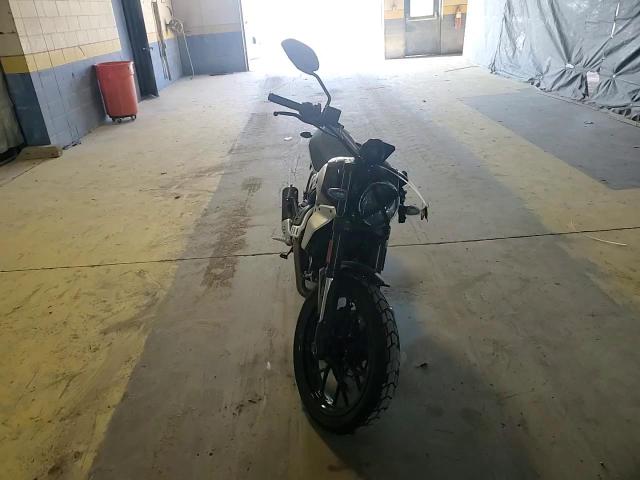 2024 Ducati Scrambler Icon VIN: ZDMKAT3M3RB005916 Lot: 81861275