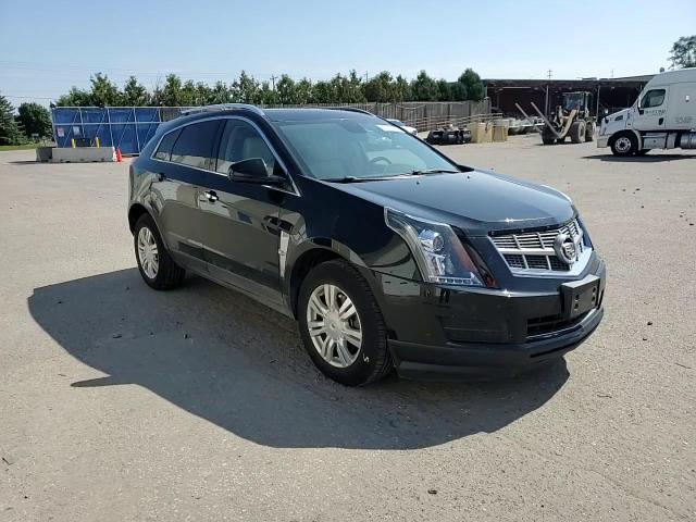 2011 Cadillac Srx Luxury Collection VIN: 3GYFNAEY5BS523116 Lot: 80792325