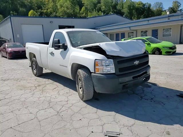 2010 Chevrolet Silverado K1500 VIN: 1GCPKPE0XAZ243595 Lot: 81511825