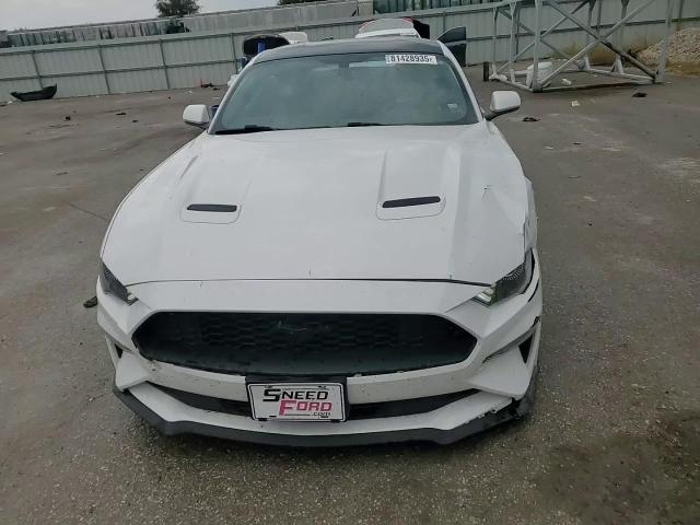 2019 Ford Mustang VIN: 1FA6P8THXK5143331 Lot: 81428935