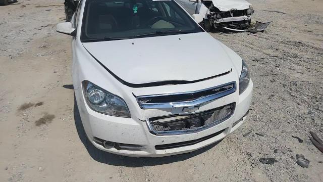 2009 Chevrolet Malibu Ltz VIN: 1G1ZK57B59F179404 Lot: 81044975