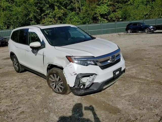 2021 Honda Pilot Exl VIN: 5FNYF6H58MB025126 Lot: 71724675