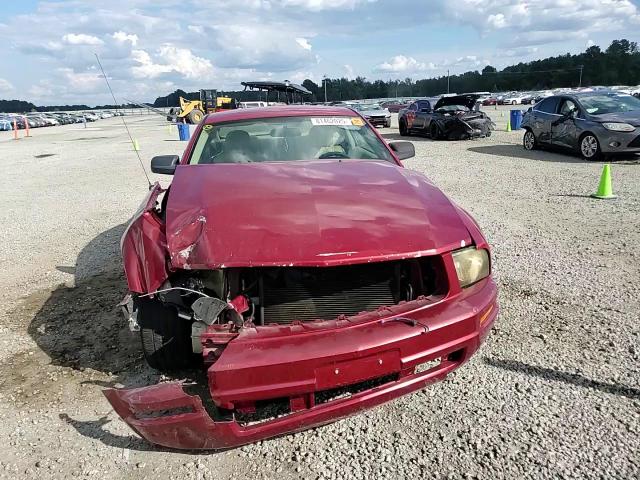 2009 Ford Mustang Gt VIN: 1ZVHT82H495102748 Lot: 81462025
