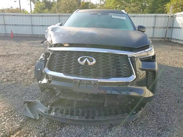 2024 Infiniti Qx60 Luxe VIN: 5N1DL1FS7RC338395 Lot: 81375215