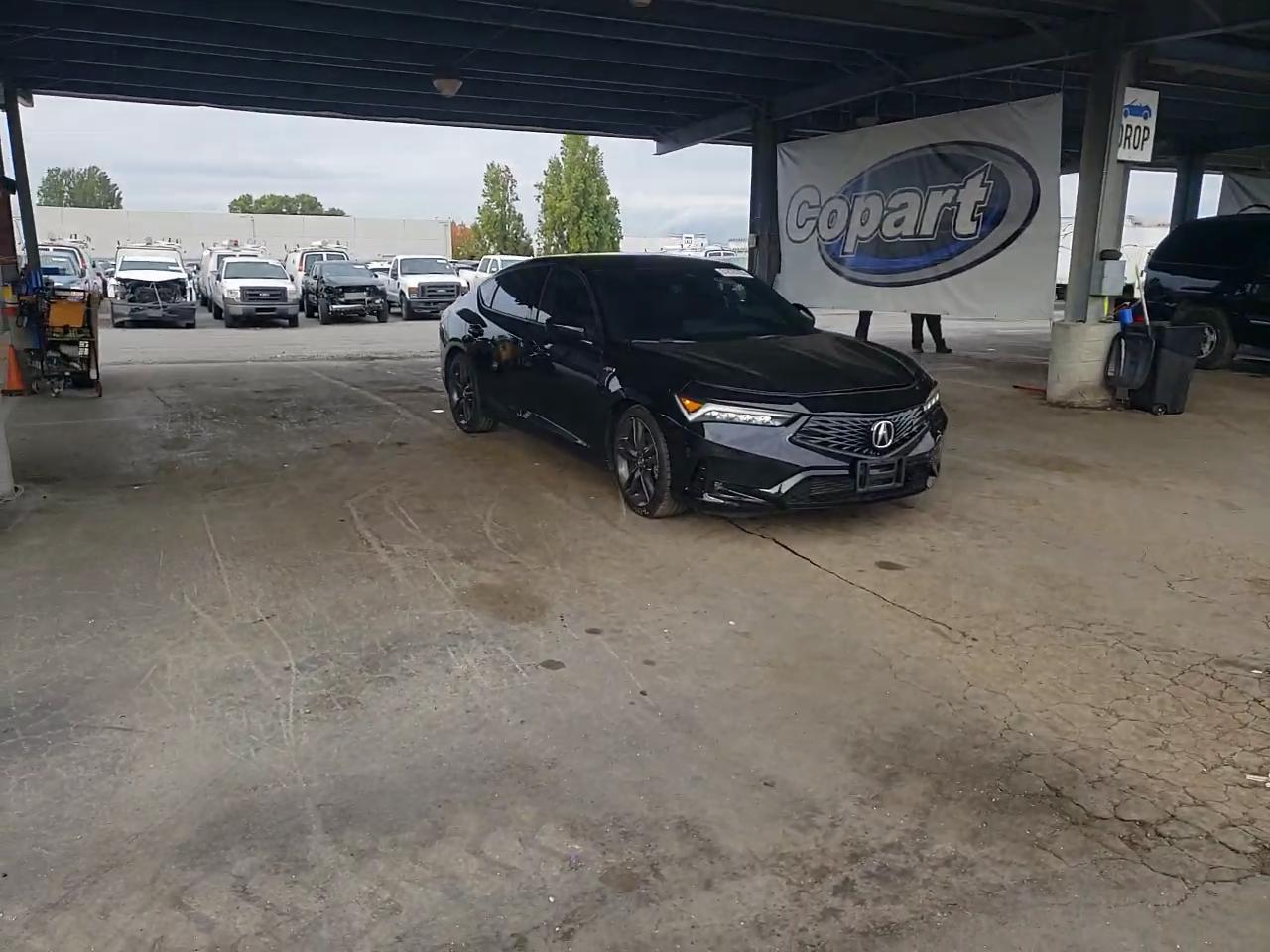 Фото: 19UDE4H37RA029528