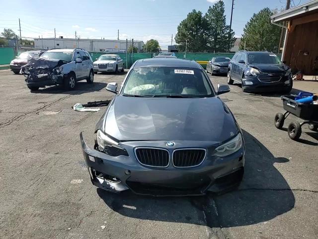 2014 BMW M235I VIN: WBA1J7C58EV253026 Lot: 83981165