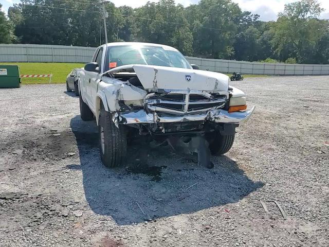 2004 Dodge Dakota Slt VIN: 1D7HG42N34S685318 Lot: 71077095