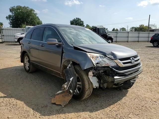 2010 Honda Cr-V Exl VIN: 5J6RE4H79AL100318 Lot: 81801245