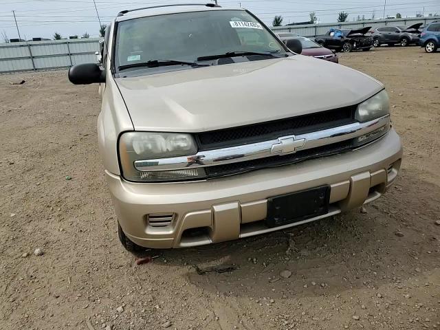 2005 Chevrolet Trailblazer Ls VIN: 1GNDT13SX52250571 Lot: 81142485