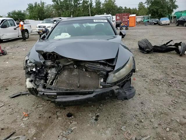 2010 Honda Accord Exl VIN: 1HGCS1B81AA007178 Lot: 81826735