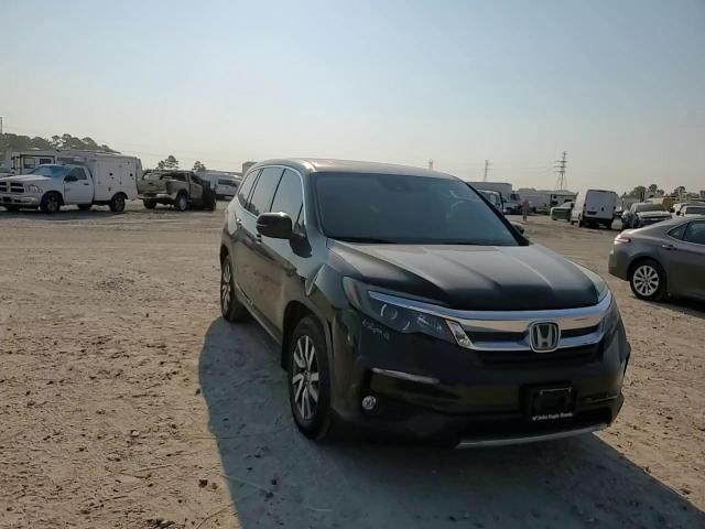 2019 Honda Pilot Exl VIN: 5FNYF6H56KB024702 Lot: 80032345