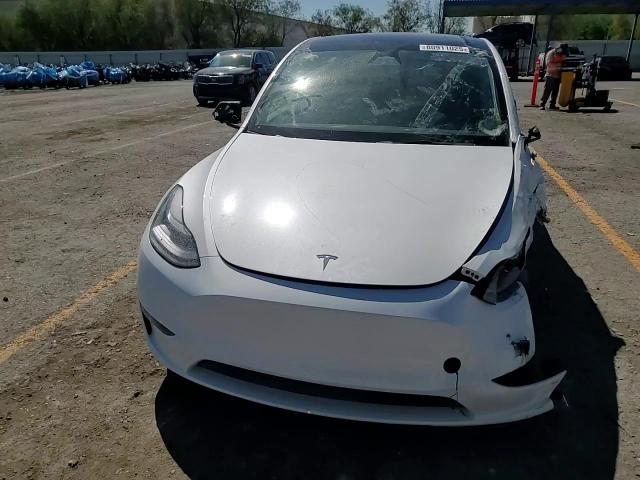 2023 Tesla Model Y VIN: 7SAYGDEF8PF870516 Lot: 80911025