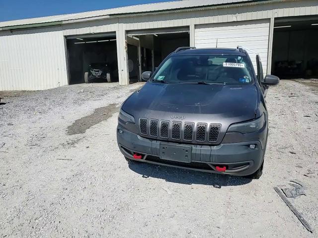 2019 Jeep Cherokee Trailhawk VIN: 1C4PJMBX1KD282092 Lot: 81005795