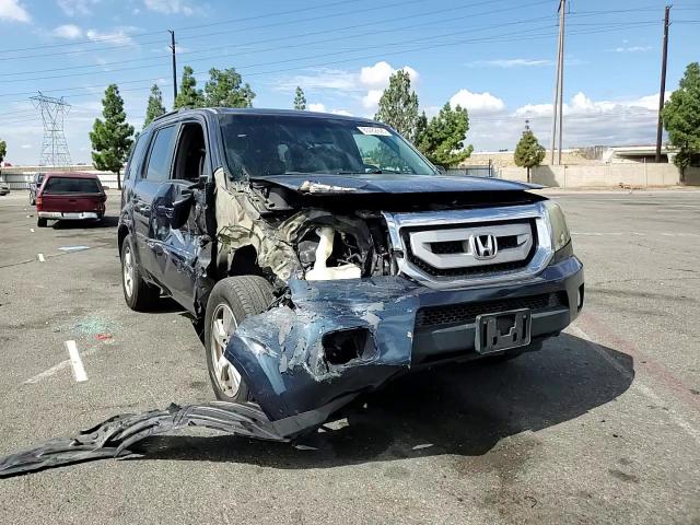 2009 Honda Pilot Exl VIN: 5FNYF38569B004555 Lot: 80782695