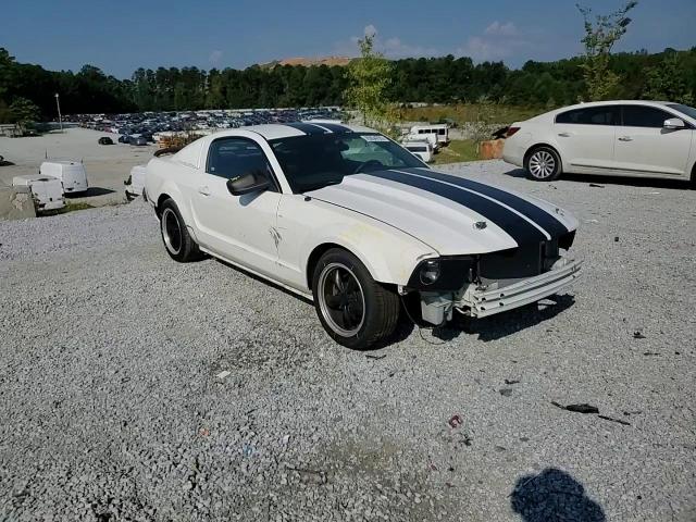 2006 Ford Mustang VIN: 1ZVFT80N365173631 Lot: 70954795
