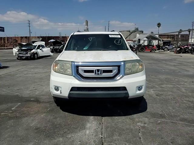 2009 Honda Pilot Exl VIN: 5FNYF38619B026102 Lot: 80784595