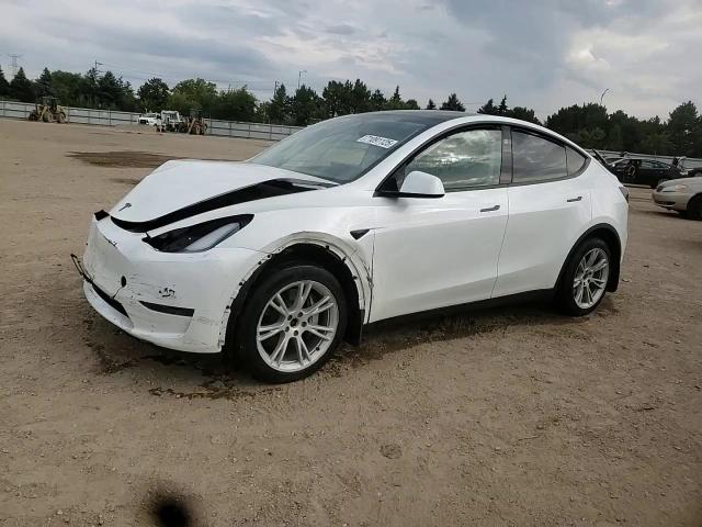 2023 Tesla Model Y VIN: 7SAYGDEE5PF790775 Lot: 71091125