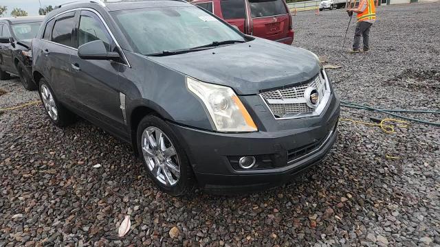 2012 Cadillac Srx Performance Collection VIN: 3GYFNBE30CS598950 Lot: 81205505