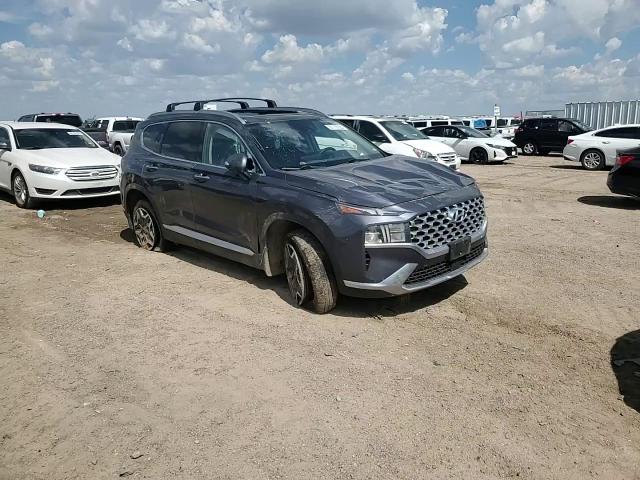 2022 Hyundai Santa Fe Sel Premium VIN: KM8S3DA11NU023412 Lot: 81119125