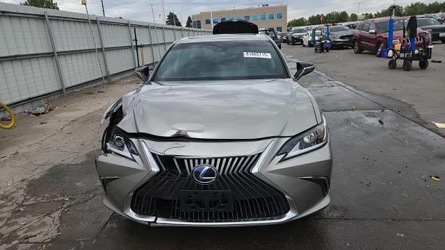 2020 Lexus Es 300H VIN: 58AD21B12LU005158 Lot: 81665715