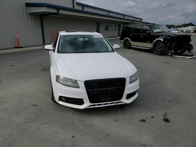 2010 Audi A4 Premium VIN: WAUDFAFL5AN055844 Lot: 84707435