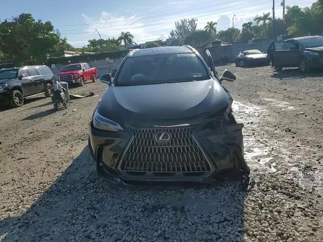 2024 Lexus Nx 250 Base VIN: 2T2ADCAZ9RC013156 Lot: 84355805