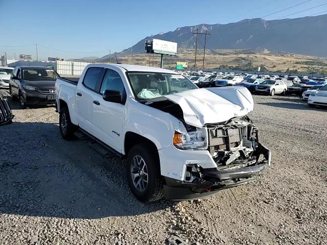 2021 GMC Canyon At4 VIN: 1GTP6FE19M1295200 Lot: 81395615