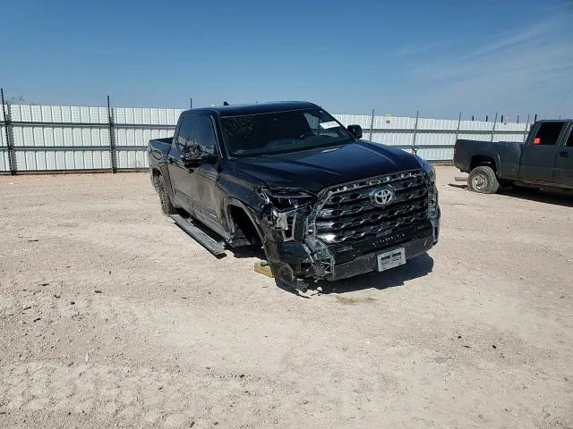 2022 Toyota Tundra Crewmax Platinum VIN: 5TFNA5AB5NX004060 Lot: 71491495