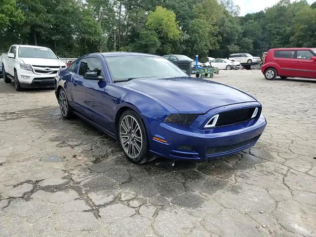 2013 Ford Mustang VIN: 1ZVBP8AM6D5223072 Lot: 81501255