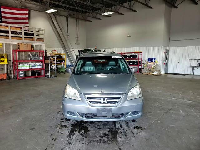 2005 Honda Odyssey Exl VIN: 5FNRL387X5B095032 Lot: 80873185