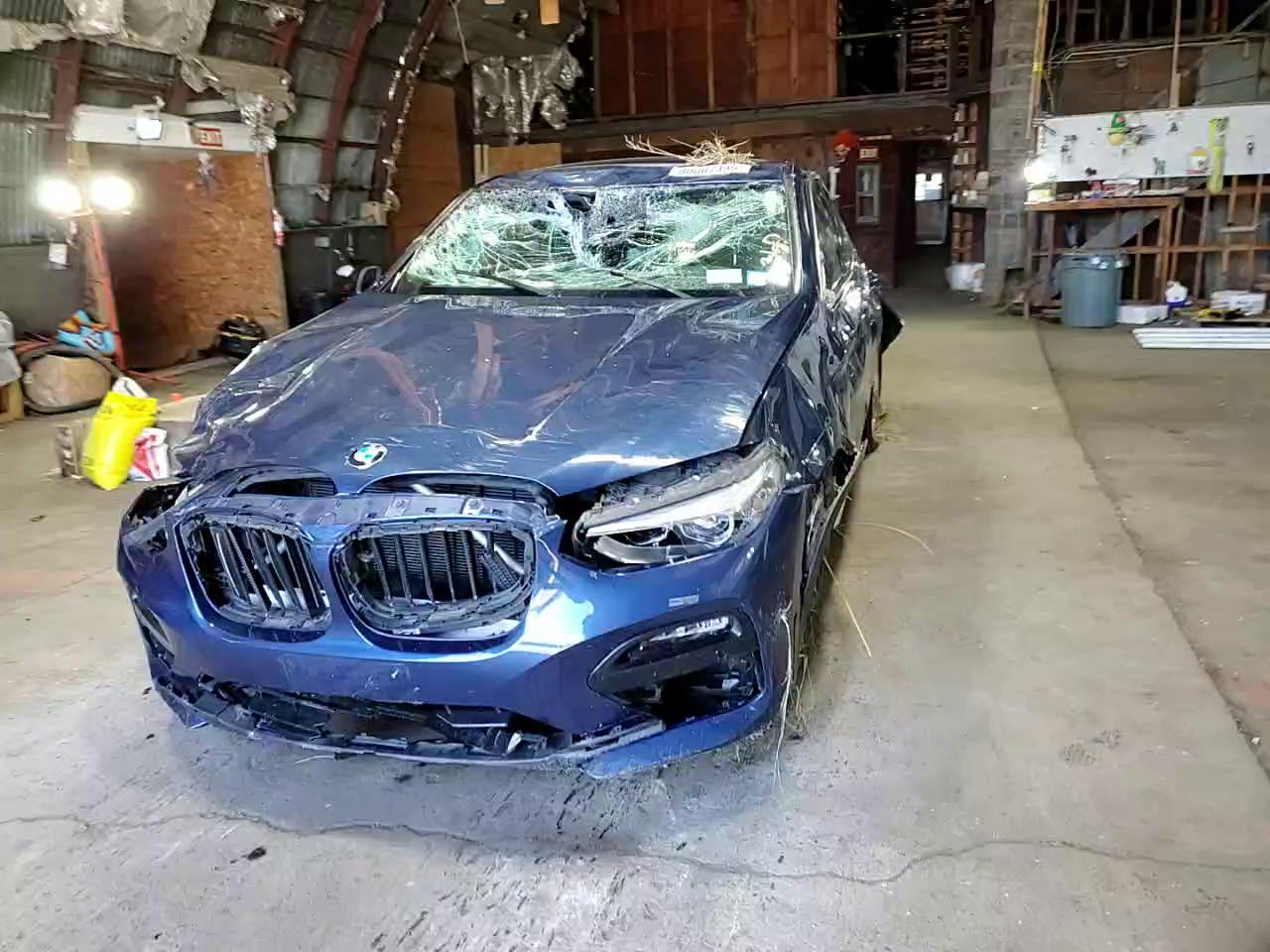 Фото: 5UX2V1C06M9H66359