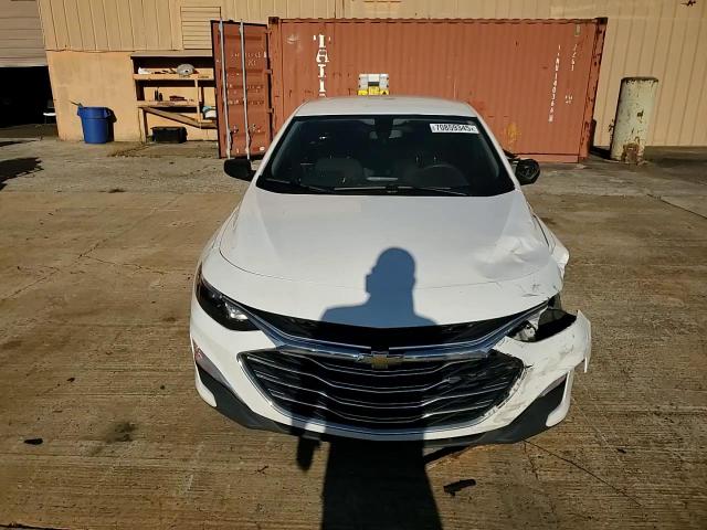 2019 Chevrolet Malibu Ls VIN: 1G1ZB5ST9KF216007 Lot: 70859345