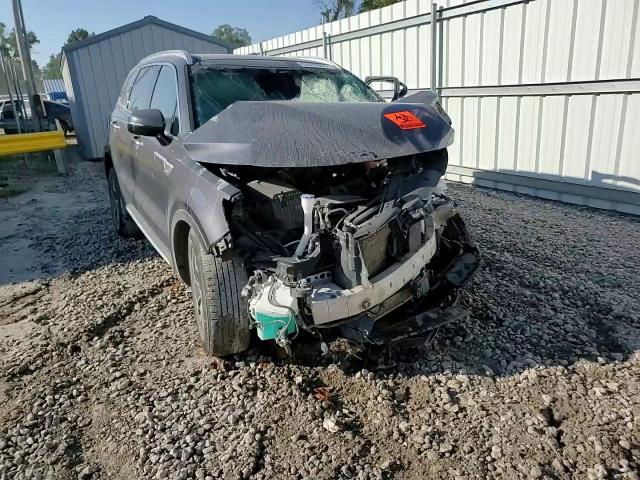 2021 Kia Sorento Ex VIN: KNDRH4LGXM5017204 Lot: 82076955