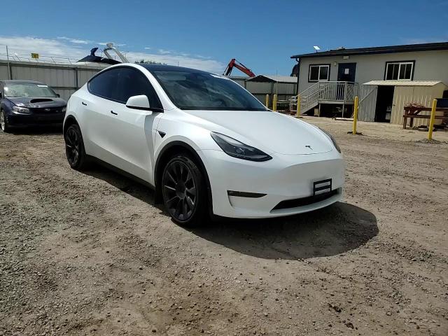 2023 Tesla Model Y VIN: 7SAYGDEE9PF644007 Lot: 81819855