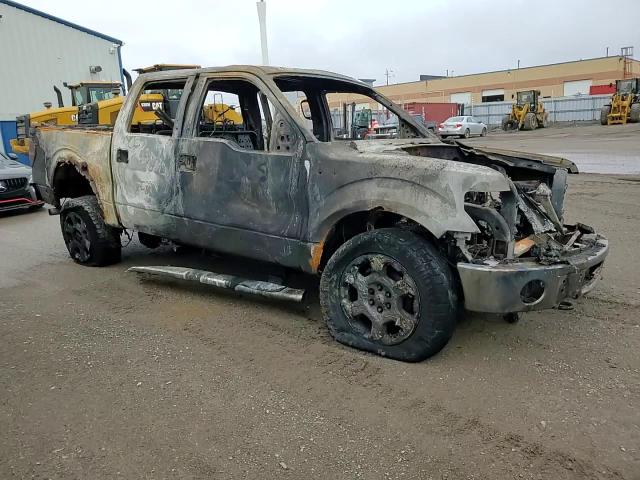 2009 Ford F150 Supercrew VIN: 1FTRW14849FA30902 Lot: 83797795