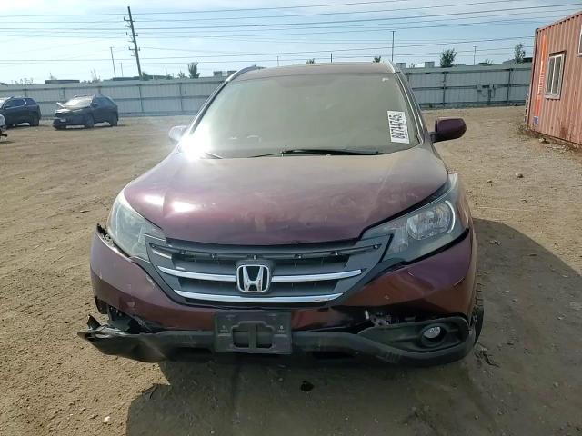 2013 Honda Cr-V Exl VIN: 5J6RM4H72DL039398 Lot: 80744745