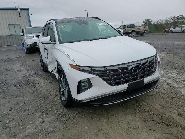2024 Hyundai Tucson Limited VIN: 5NMJECDE4RH335403 Lot: 81049365