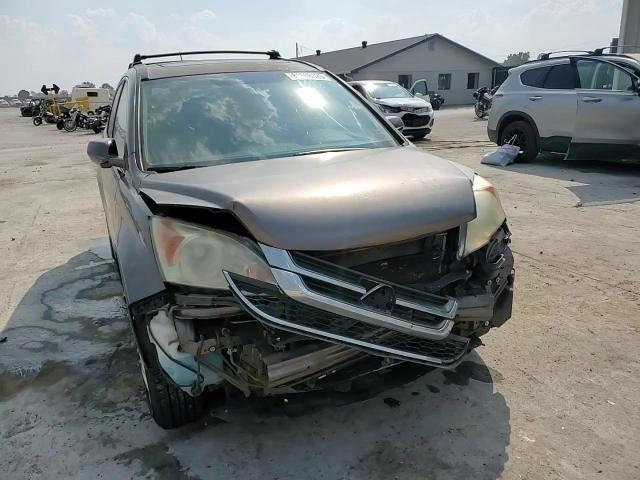 2010 Honda Cr-V Exl VIN: 5J6RE3H79AL035674 Lot: 81508325