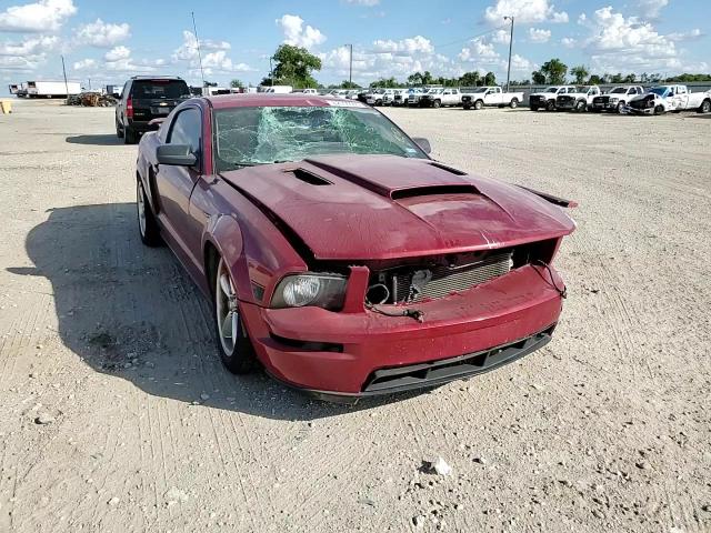 2008 Ford Mustang Gt VIN: 1ZVHT82H585104829 Lot: 82090555