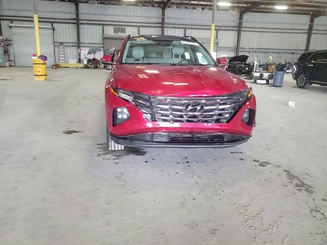 2023 Hyundai Tucson Limited VIN: 5NMJE3AE8PH196085 Lot: 81489965