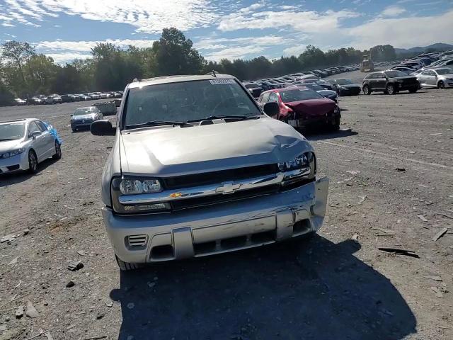 2007 Chevrolet Trailblaze VIN: 1GNDT13S472269071 Lot: 81902975