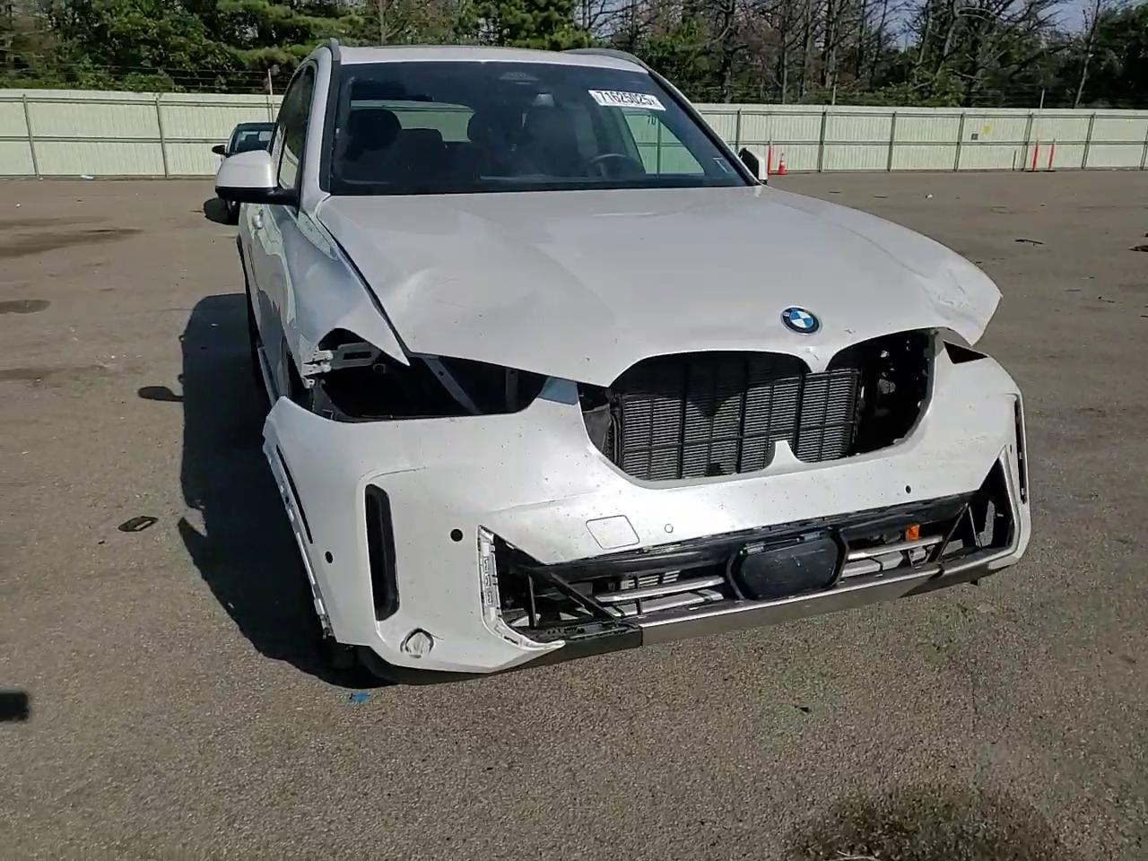 Фото: 5UX23EU07S9X45297