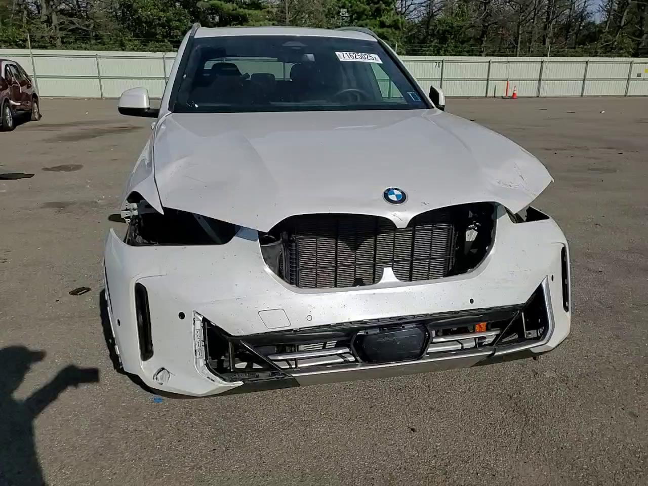 Фото: 5UX23EU07S9X45297