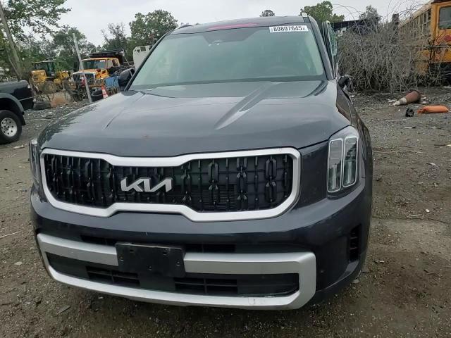 2025 Kia Telluride Ex VIN: 5XYP3DGC8SG601389 Lot: 80807645