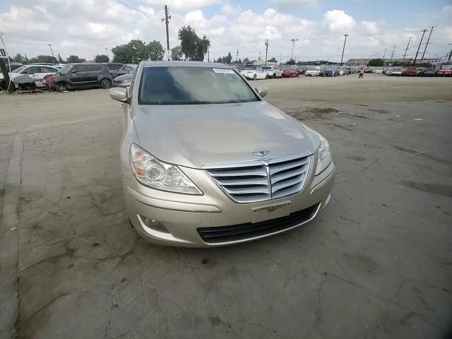 2009 Hyundai Genesis 3.8L VIN: KMHGC46E79U026404 Lot: 81954575