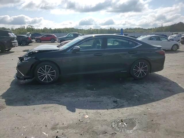 2022 Lexus Es 300H Base VIN: 58ADA1C11NU025194 Lot: 81164255