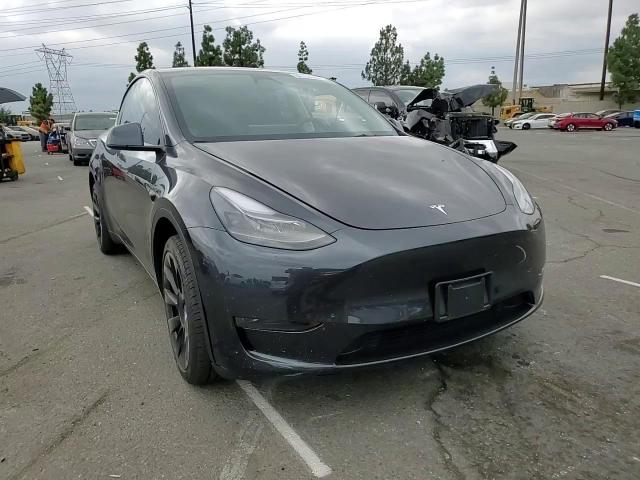 2024 Tesla Model Y VIN: 7SAYGDED3RF097682 Lot: 84194045