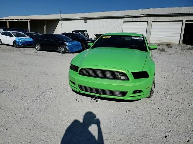 2013 Ford Mustang VIN: 1ZVBP8AM7D5217667 Lot: 81185865