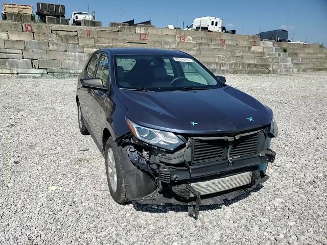 2018 Chevrolet Equinox Ls VIN: 3GNAXHEV0JL101991 Lot: 81845955