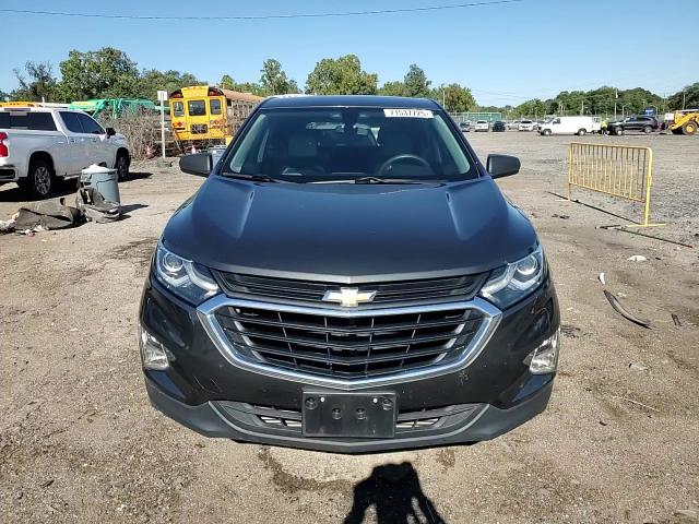 2019 Chevrolet Equinox Ls VIN: 3GNAXHEV5KS621059 Lot: 71537725